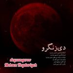 محسن حیدریه – دی زنگرو
